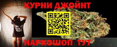 шишки Аргун