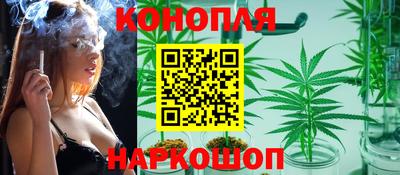 шишки Аргун