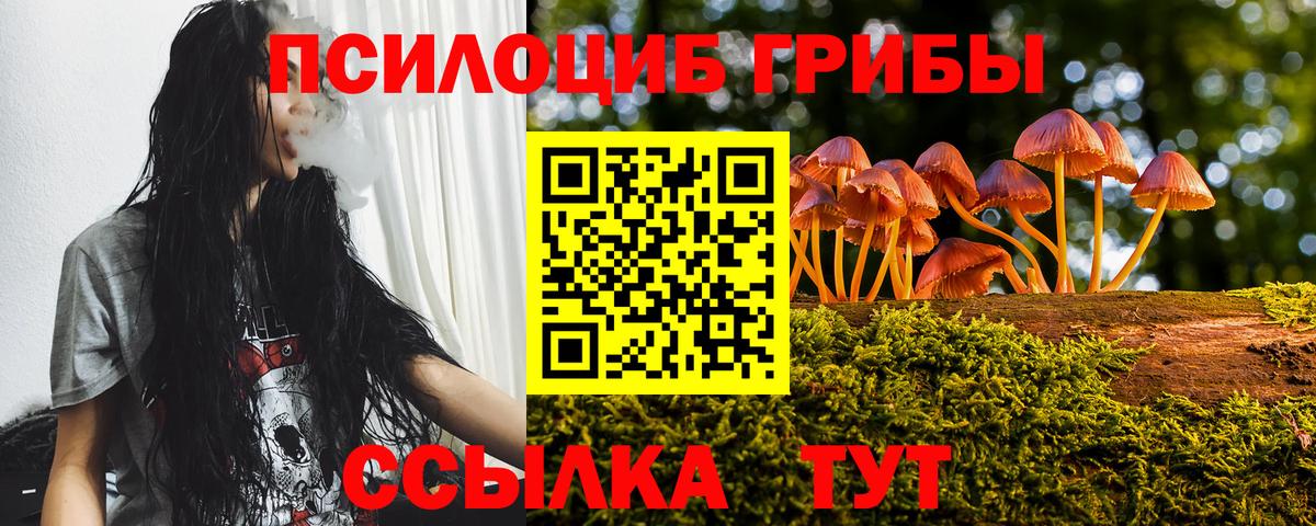Псилоцибиновые грибы Psilocybine cubensis Ачхой-Мартан