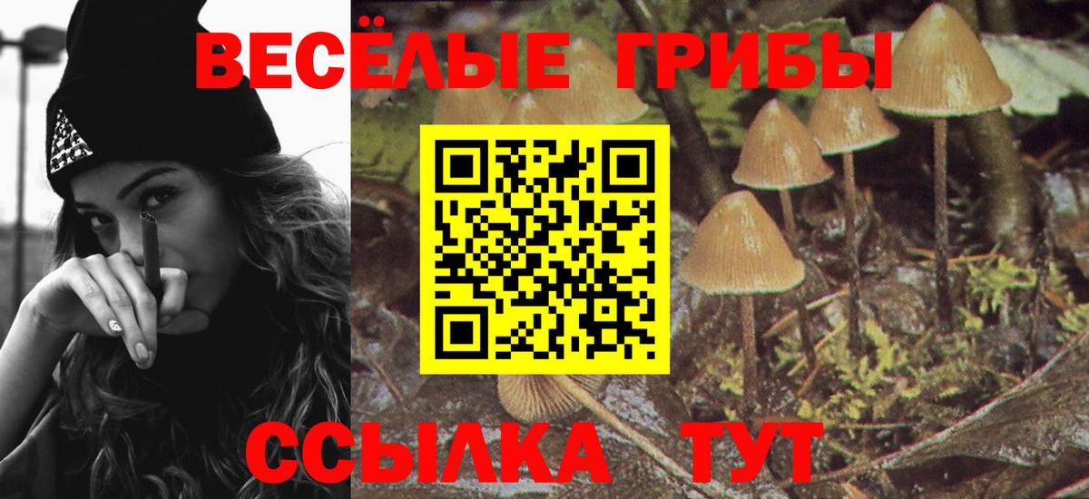 Ачхой-Мартан  Псилоцибиновые грибы ЛСД  Галлюциногенные грибы ЛСД  Вход с VPN 